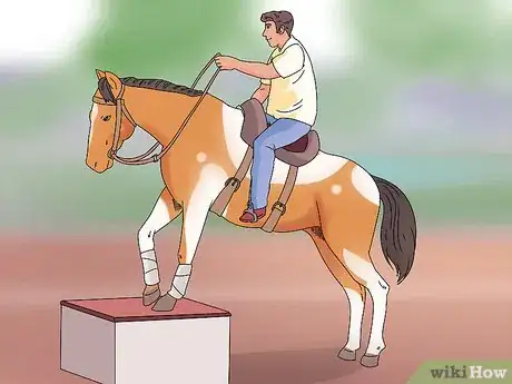 Image titled "Play" with Your Horse_Pony Step 8